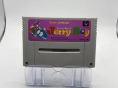 スーパーファミコンソフト ジェリーボーイ　箱説なし