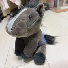 イクイノックス アイドルホース S ドバイシーマクラシック - メルカリ