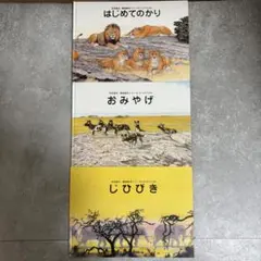 吉田遠志 動物絵本シリーズ アフリカ 10冊セット - メルカリ
