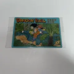 イタジャガドラゴンボールvol.7