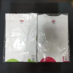 【未開封】お笑い芸人 EXIT マイクロコントラボ Tシャツ グリーン&ピンクのサムネイル