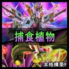 遊戯王 【本格構築】召喚獣 構築済みデッキ カオスオリジンズ - メルカリ