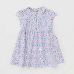 Item thumbnail for item 79695c17-59b3-420b-ad45-bc7c472d43d2