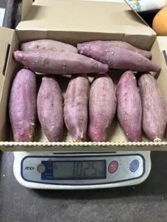 徳島県　鳴門金時さつまいもSサイズ1kgのサムネイル