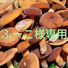 チチタケ　信州産　ふーこ様のサムネイル