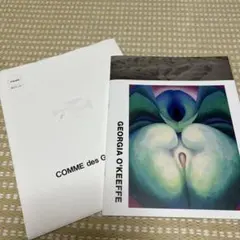 コムデギャルソン　GEORGIA O'KEEFFE DM