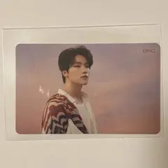 SEVENTEEN 舞い落ちる花びら ディノ トレカ