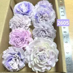 ソラフラワー　2605