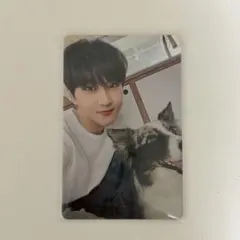 ENHYPEN アンケートトレカ ジョンウォン