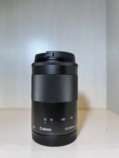 Item thumbnail for item 2ddde0be-4ac3-4b0f-b8ab-fa4d577a7b99