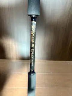 2025年最新】beat ロッドの人気アイテム - メルカリ