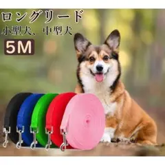 Item thumbnail for item 18f49ab8-04ba-47db-aa7c-6d04bba75ab1