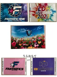 Item thumbnail for item 20c5393c-2be5-4afd-818a-f6a933511c6a