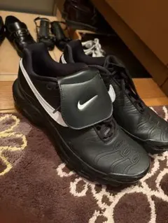 airmax plus エアマックスプラス　ティエンポ29cm