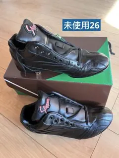 Item thumbnail for item 52eceb5f-df35-4b6d-9207-da5d7b7dbbc0