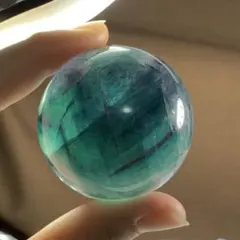 値下げ‼️1287 フローライト バジュラ 置物 76.2×29.3 - メルカリ