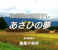 はぜ掛け天日干し　あさひの夢　白米10kg　農薬不使用 はぜ掛け天日干し あさひの夢 白米10kg 農薬不使用 長野県産 - メルカリ