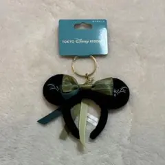 東京ディズニーリゾート アナ　カチューシャ　キーチェーン
