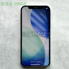 iPhone12 Pro Silver 256GB 香港版 A2408