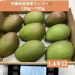 沖縄県産摘果マンゴーグリーンマンゴー青マンゴー／53のサムネイル