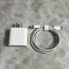 Apple 純正 充電器 ケーブル付き 20W USB-C ライトニング ①
