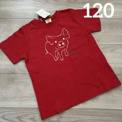 新品 DRUG STORE'S トップス 120のサムネイル