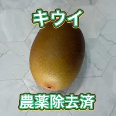 キウイ 花粉 ゴールドキウイフルーツ 雄花 花粉 受粉用 ゴールデン 50