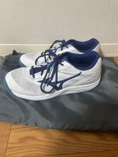 MIZUNO テニスシューズ　カーペットシューズ