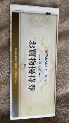 ヤマダホールディングス お買物優待券 10枚