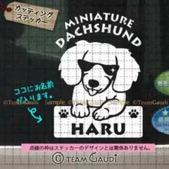 ダックスフンド No.6　名前入 ステッカー ミニチュアダックス　シール　犬