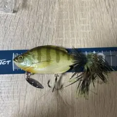 Item thumbnail for item 0494bfc6-e65d-442e-bea0-09047261ed77