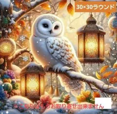 No 6262　ダイヤモンドアートキット　未使用品