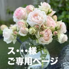 ス・・・様 ご専用ページ