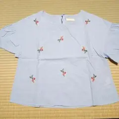 Item thumbnail for item 7f3ec40e-1d0f-4f44-bc2c-f01d0c17923d