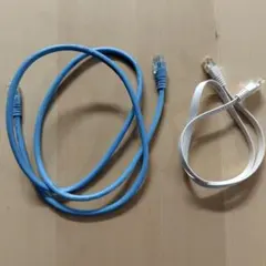 LANケーブル 青 白 2本セット