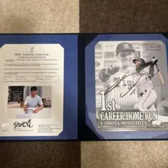 Item thumbnail for item 7a901ae8-50fb-4e88-97b8-0a61f14e4610