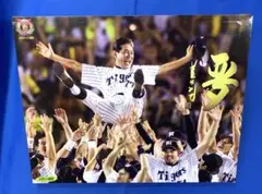 A-670【 阪神タイガース 優勝記念パネル ２００３年 】