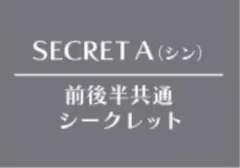 AMNESIA オトガ ランチョン A3ポスター シークレット A シン