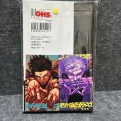 呪術廻戦モジュロ 2巻 特典2枚付