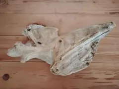 Item thumbnail for item e33b6b9b-dcd8-4ade-94fe-6237ffc019bc