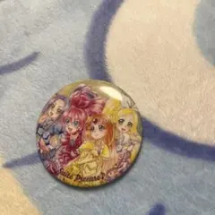 プリキュアオールスターズ BIG缶バッジ スイートプリキュア 32個セット