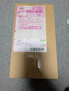 未開封 ポケモンセンターヒロシマ スペシャルBOX