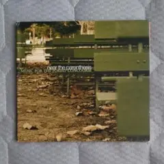 Near The Parenthesis CD エレクトロニカ シューゲイザー