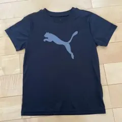 【PUMA】最終値下げ‼︎  プーマ　半袖Tシャツ　140cm