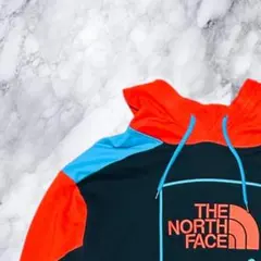 【未使用品】海外限定 ノースフェイス '92 エクストリーム フーディ L