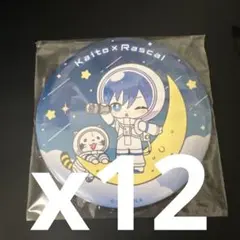 2026年最新】kaito 缶バッジ まとめ売りの人気アイテム - メルカリ