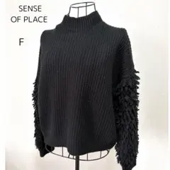 SENSE OF PLACE フリンジ付き長袖ニット ハイネック　ブラック　F