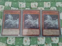 遊戯王 青眼の亜白龍 3枚セット