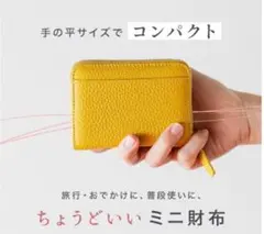 ガバッと牛革ミニ財布　スキミング対策
