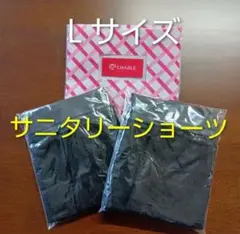 シャルレ生理用ショーツポケット付きＬサイズ２枚セット